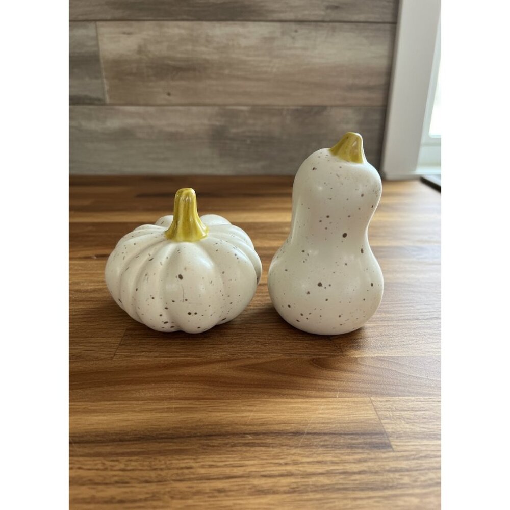 Williams Sonoma Harvest Pumpkin & Gourd‎ Salt Pepper Shaker Set